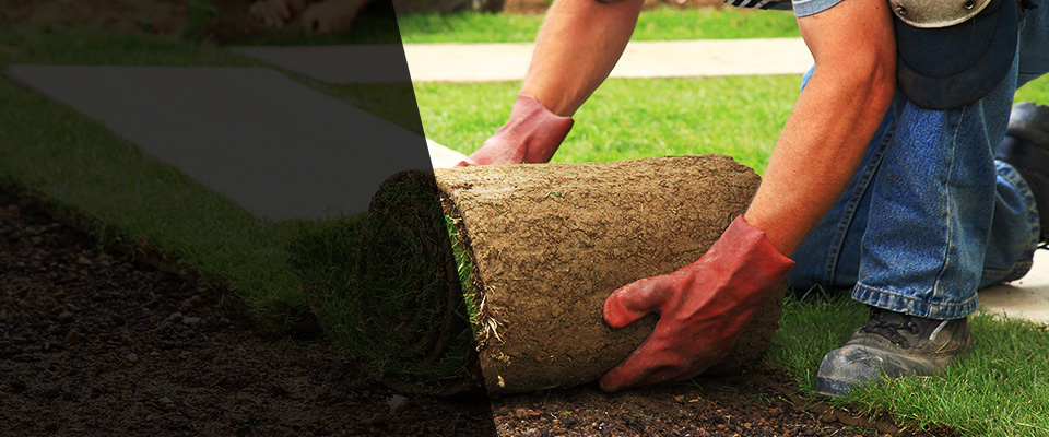 East Kingston Landscapers